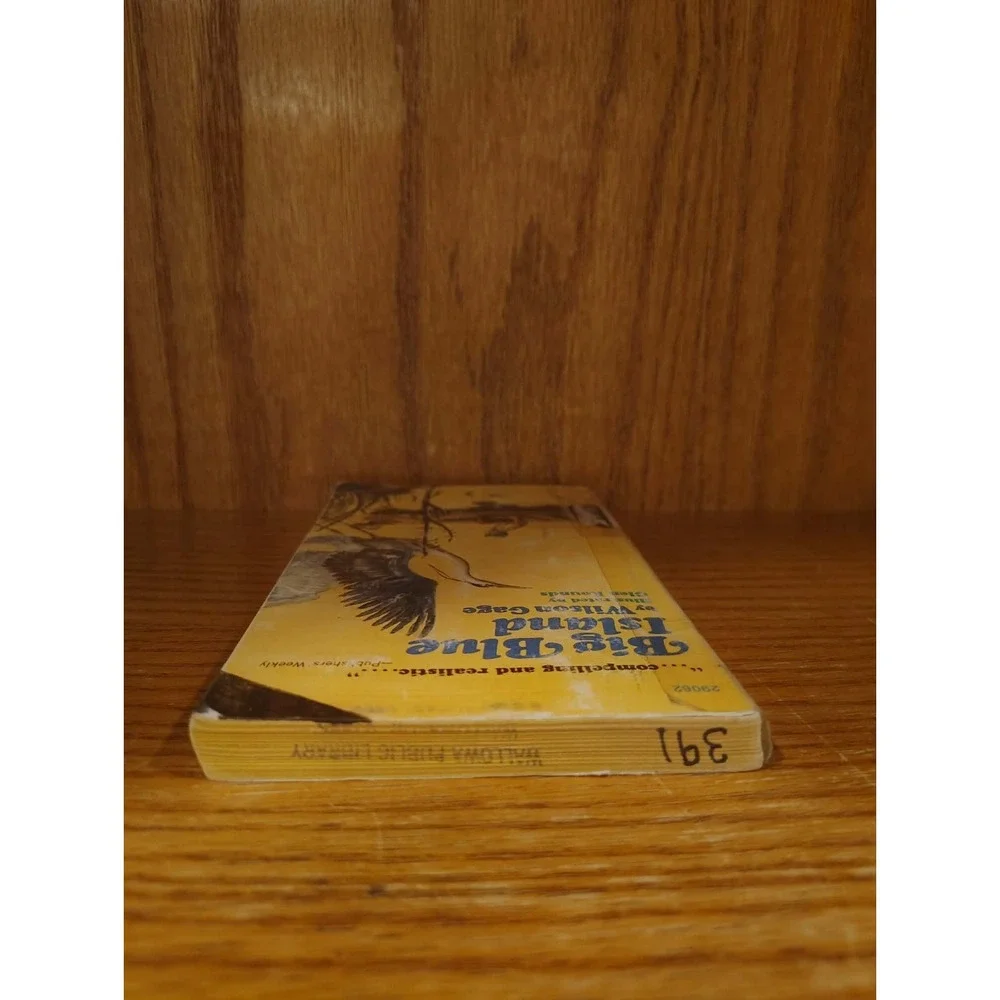 Big Blue Island by Wilson Gage, Paperback - Acceptable